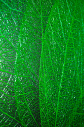 Verdant Lattice — Haptic 3D Embossed + High-Gloss Lacquer Print