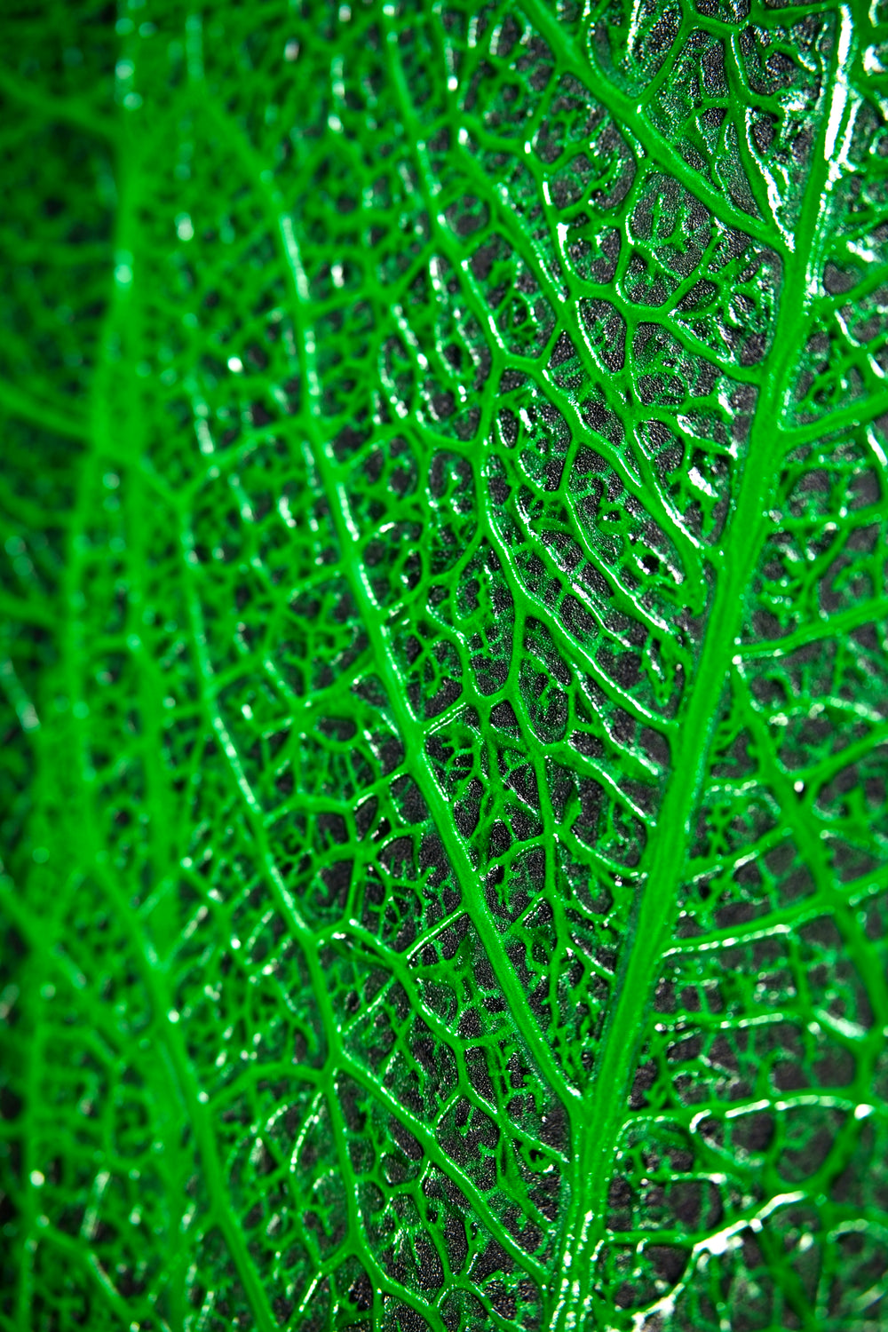 Verdant Lattice — Haptic 3D Embossed + High-Gloss Lacquer Print