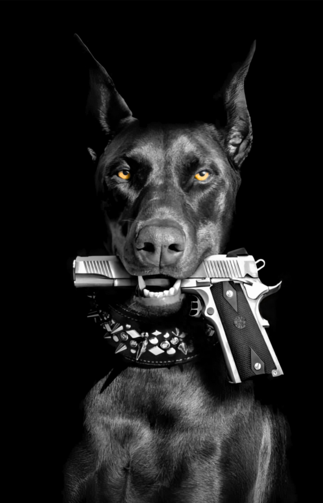 Gun Dog  Glass Wall Art || Designer Collection