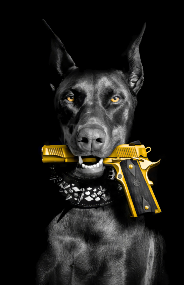 Gun Dog  Glass Wall Art || Designer Collection