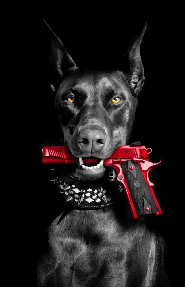 Gun Dog  Glass Wall Art || Designer Collection
