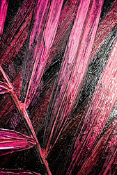 Magenta Midnight Frond — Un battito scolpito di velluto tropicale
