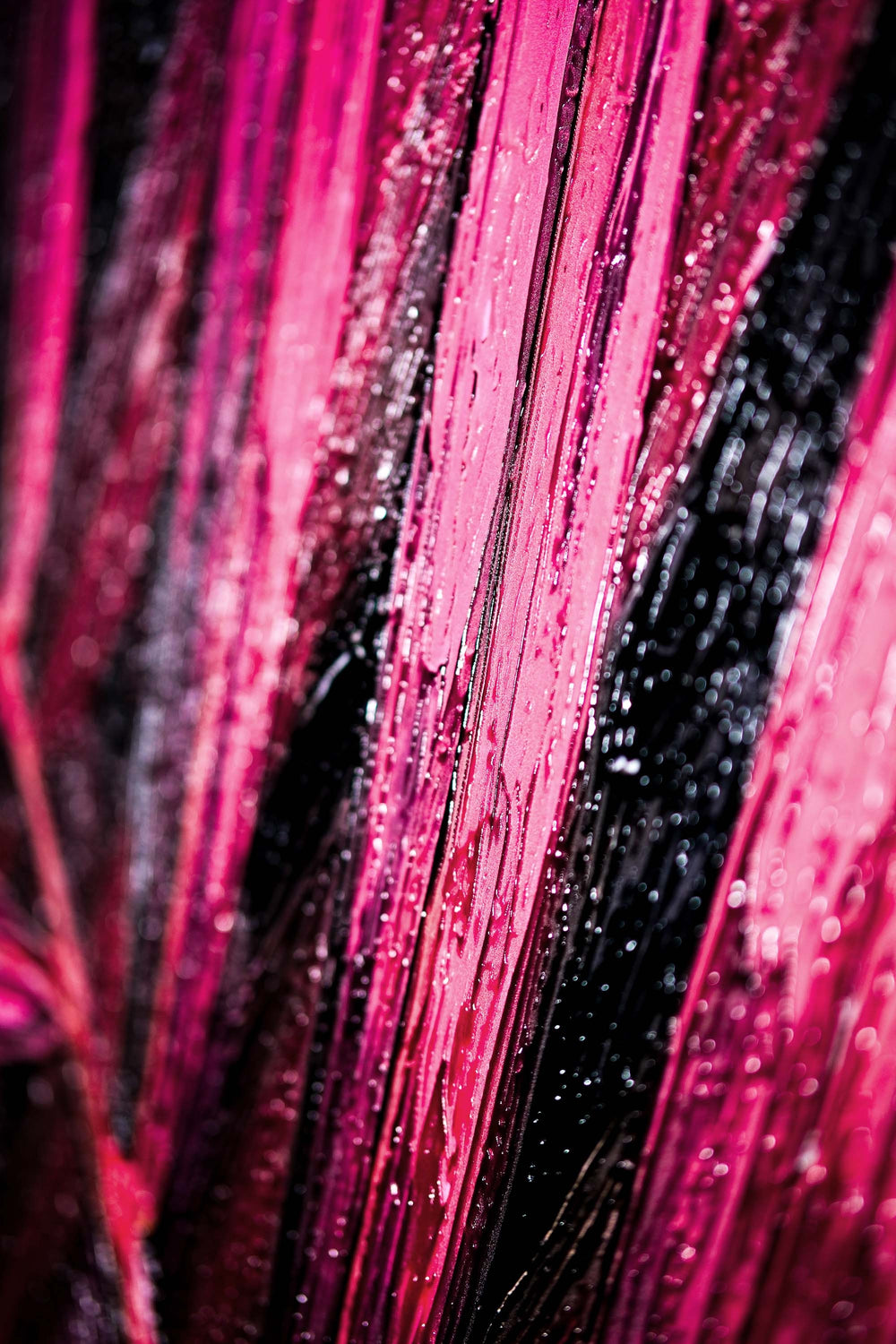 Magenta Midnight Frond — Un battito scolpito di velluto tropicale