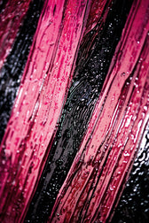 Magenta Midnight Frond — Un battito scolpito di velluto tropicale