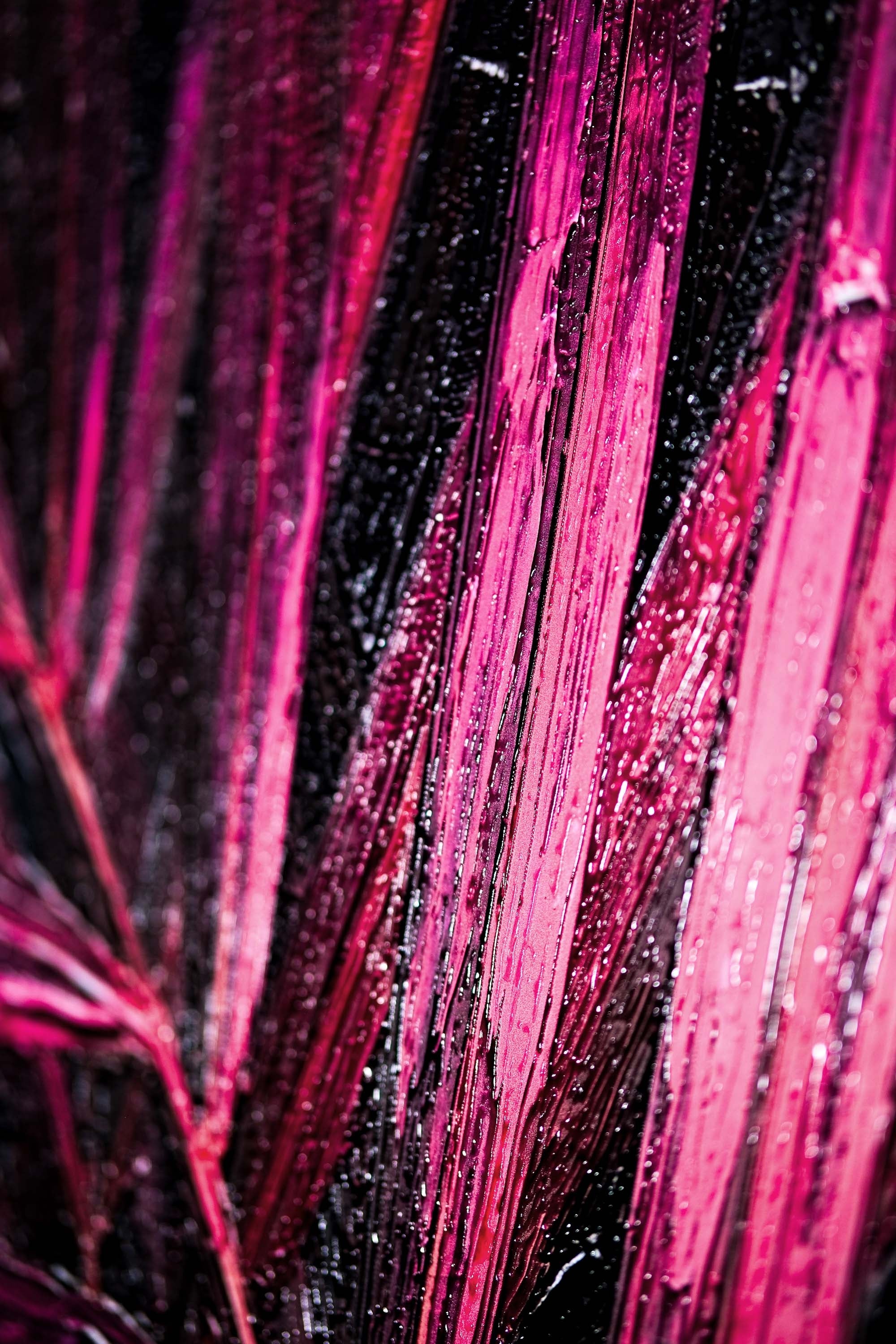 Magenta Midnight Frond — A Sculpted Pulse of Tropical Velvet