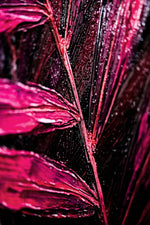 Magenta Midnight Frond — Un battito scolpito di velluto tropicale