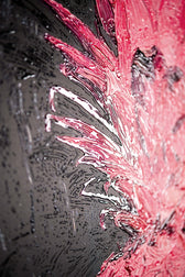 Eclectic Pineapple Pulse — Un pop texturizado en rosa y negro