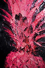 Eclectic Pineapple Pulse — Un pop texturizado en rosa y negro