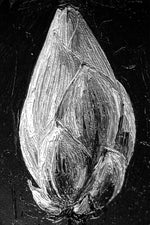 Monochrome Lotus Manifest — A Textured Vow in Black & White