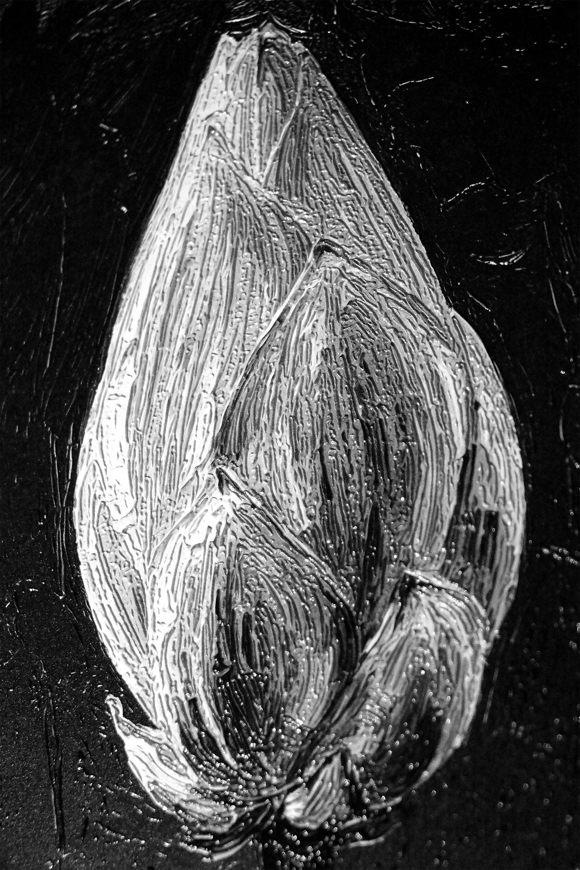 Monochrome Lotus Manifest — A Textured Vow in Black & White