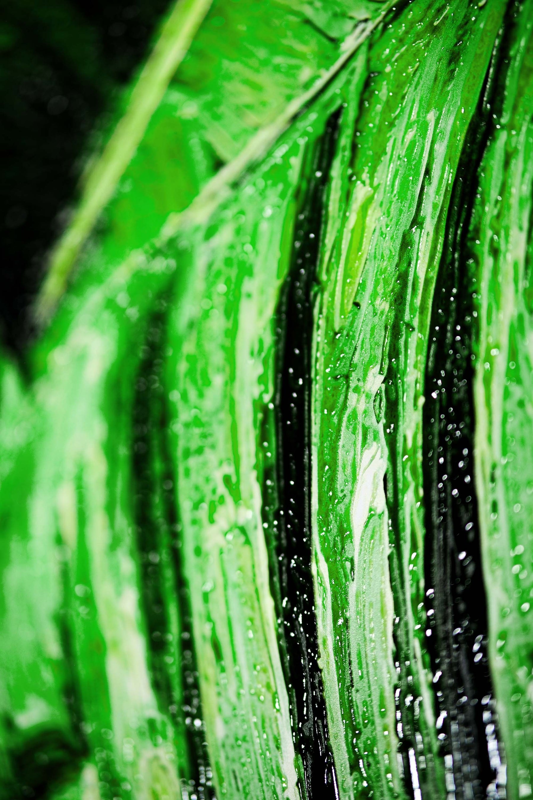 Verdant Tropics Infusion — 3D Haptic Embossed High-Gloss Luxury Wall Art