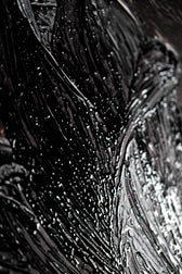 Noir Lilies & Gilded Shadows — 3D Haptic Embossed High-Gloss Luxury Wall Art