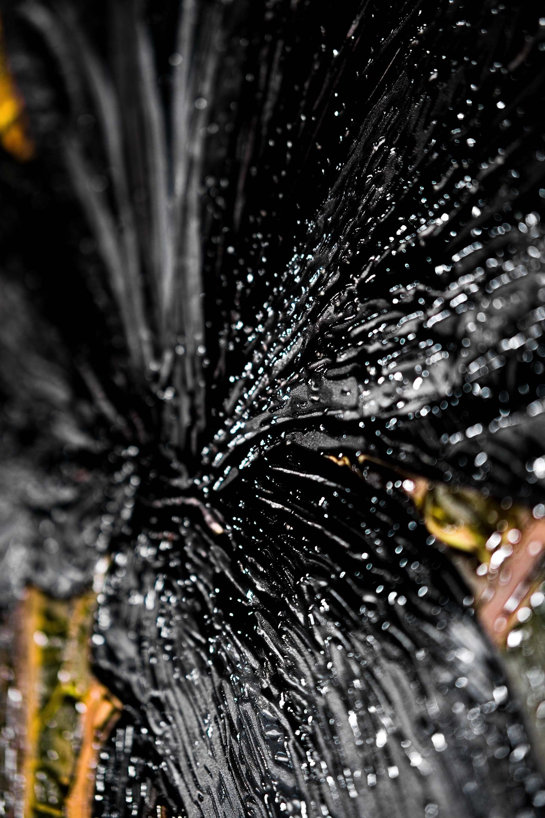 Noir Lilies & Gilded Shadows — 3D Haptic Embossed High-Gloss Luxury Wall Art