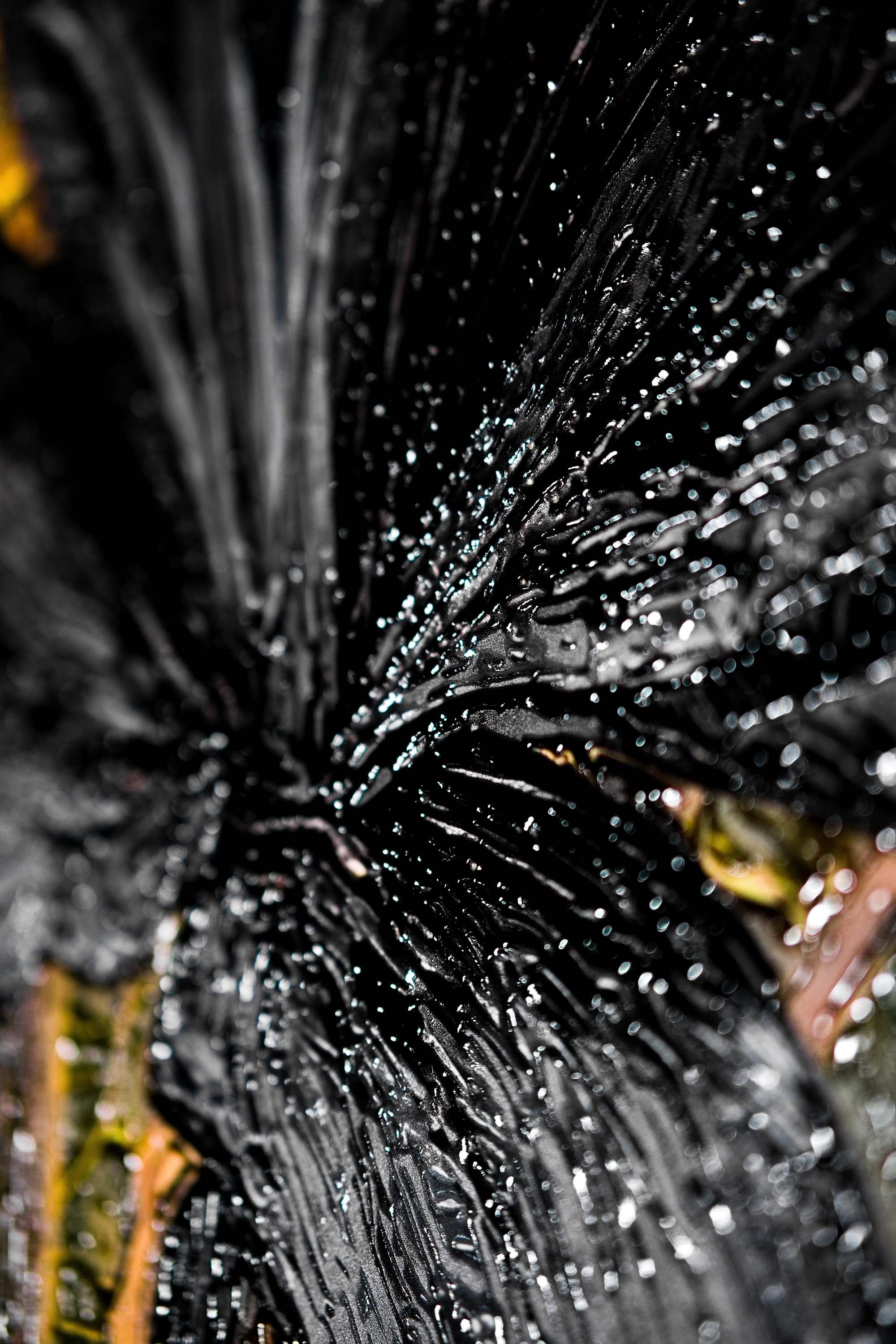 Noir Lilies & Gilded Shadows — 3D Haptic Embossed High-Gloss Luxury Wall Art