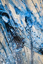 Sapphire Dew Dandelion — 3D Haptic Embossed High-Gloss Luxury Wall Art