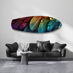 Rainbow Feather Macro Glass Wall Art.