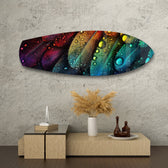 Rainbow Feather Macro Glass Wall Art.