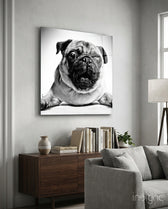 Pug Glass Wall Art - Lifestyle preview in a designer interior