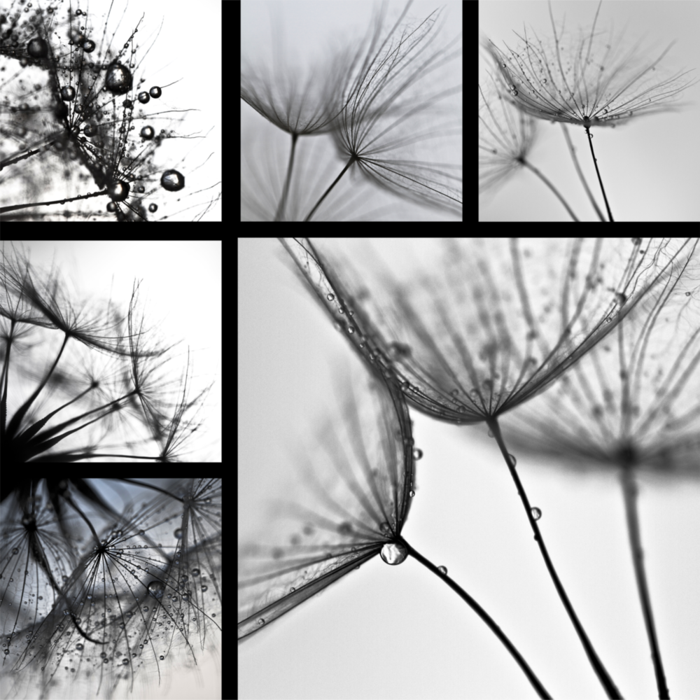 Flower Glass Wall Art