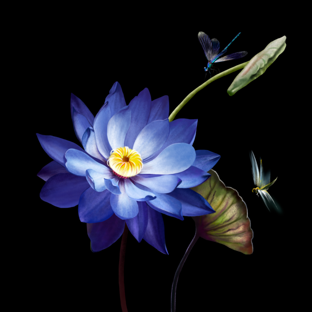 Flower Glass Wall Art
