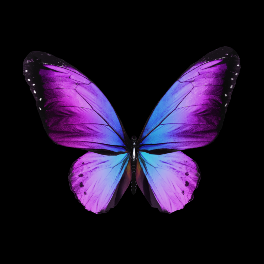 The Elegance of the Butterfly Glass Wall Art