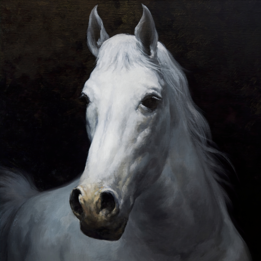 Horse Glass Wall Art