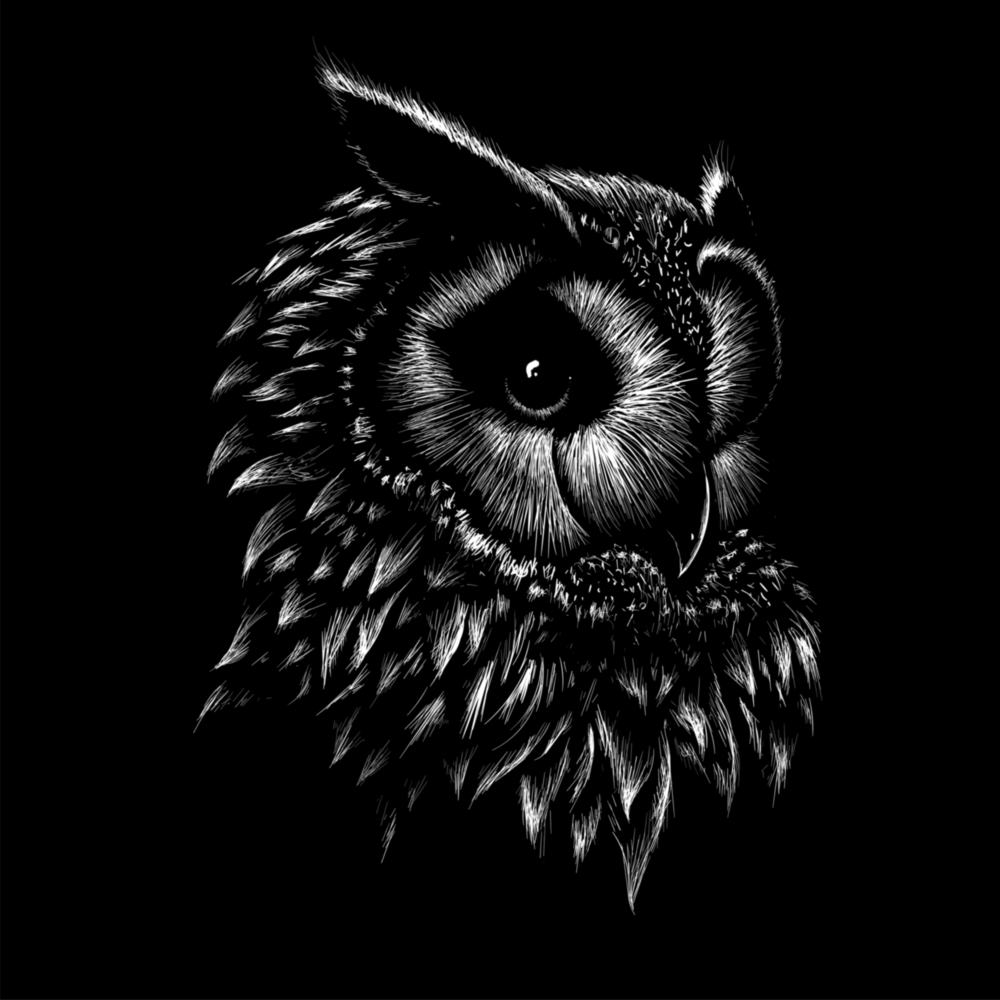 Owl Glass Wall Art