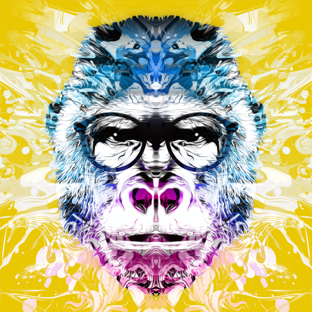 Gorilla Glass Wall Art