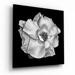 Flower Glass Wall Art | Insigne Art Design.