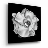 Flower Glass Wall Art | Insigne Art Design.