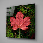 Alone Leaf Glass Wall Art