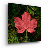 Alone Leaf Glass Wall Art