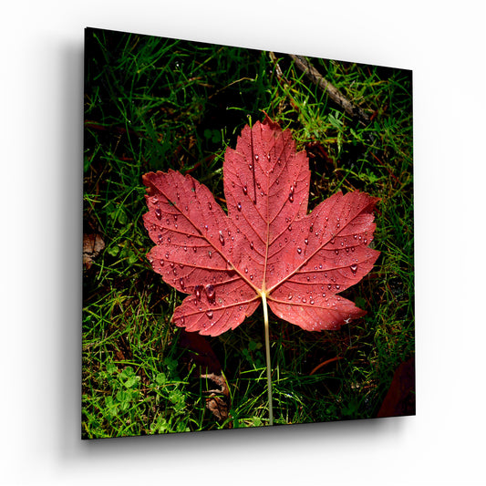 Alone Leaf Glass Wall Art