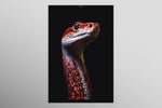 Dark Symbiote Noir — Haptic 3D Embossed + High-Gloss Lacquer Print