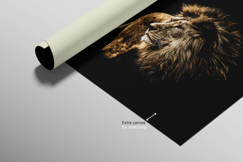Lacquer Rain King — Haptic 3D Embossed + Pure Gloss Lacquer Print