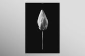 Noir Bloom Radiance — Haptic 3D Embossed + High-Gloss Lacquer Print