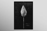 Monochrome Lotus Manifest — A Textured Vow in Black & White