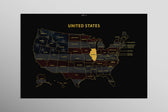 Illinois State Map — Haptic 3D Embossed Metal Wall Art rolled canvas preview D
