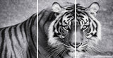 Snow Tiger Mega Glass Wall Art