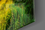 Valley panel catching late-day light to reveal its sunset palette