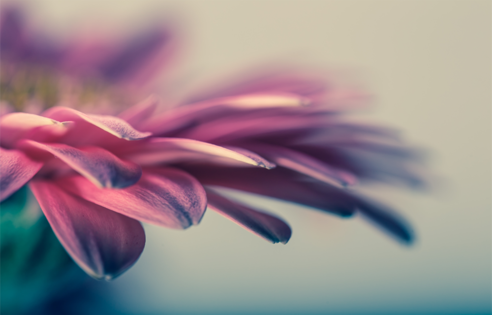 Flower Glass Wall Art