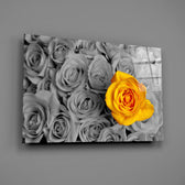 Close-up detail of the yellow rose standing out from grayscale petals