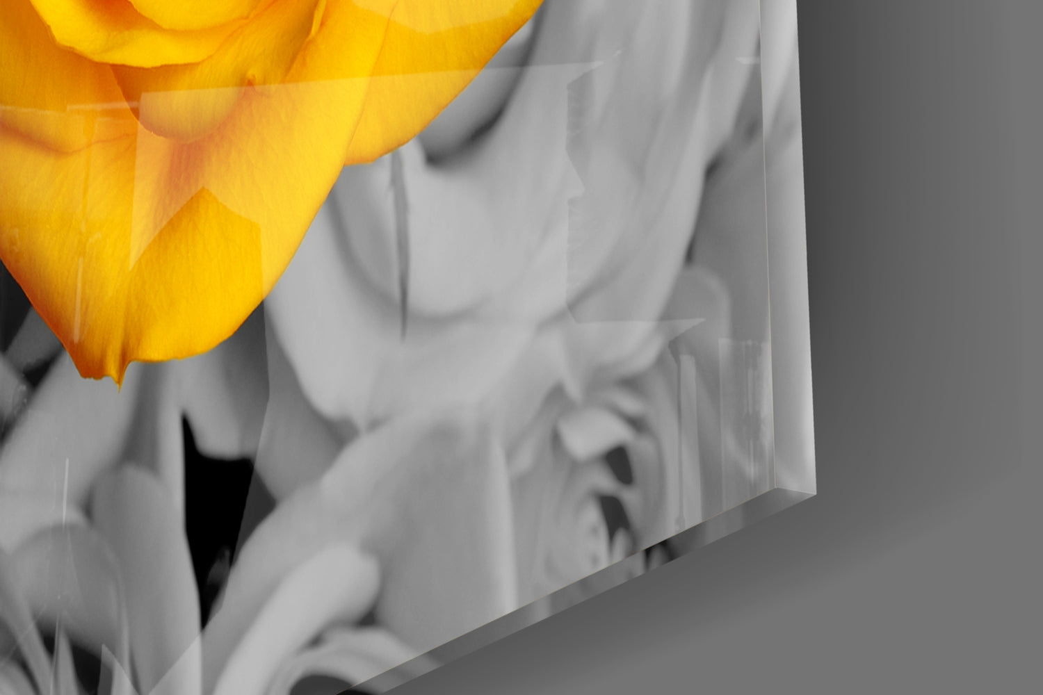 Yellow Rose Glass Wall Art.