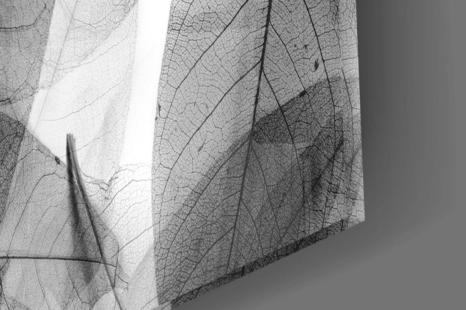 Black - White Leaves Glass Wall Art.