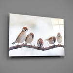 Close-up detail of five sparrows lined along a winter branch