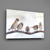 Close-up detail of five sparrows lined along a winter branch