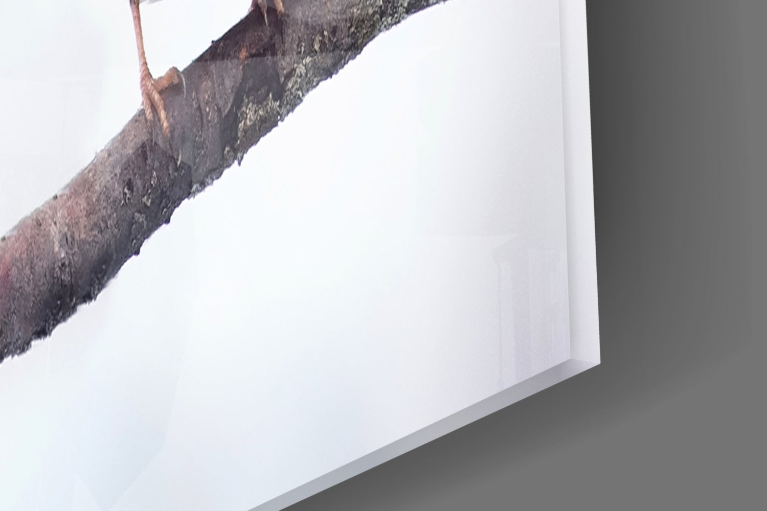 Birds Glass Wall Art.