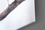 Birds panel catching soft daylight to reveal its feather detail