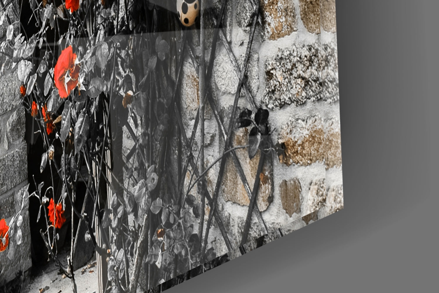 Red Rose Glass Wall Art.