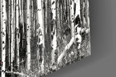 Red Forest panel catching side light to reveal its selective color